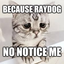 BECAUSE RAYDOG NO NOTICE ME | made w/ Imgflip meme maker