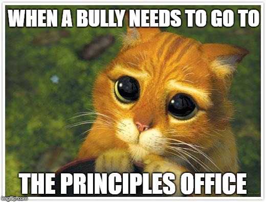 principle cat |  WHEN A BULLY NEEDS TO GO TO; THE PRINCIPLES OFFICE | image tagged in memes,shrek cat | made w/ Imgflip meme maker