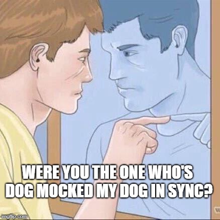 Pointing mirror guy | WERE YOU THE ONE WHO'S DOG MOCKED MY DOG IN SYNC? | image tagged in pointing mirror guy | made w/ Imgflip meme maker