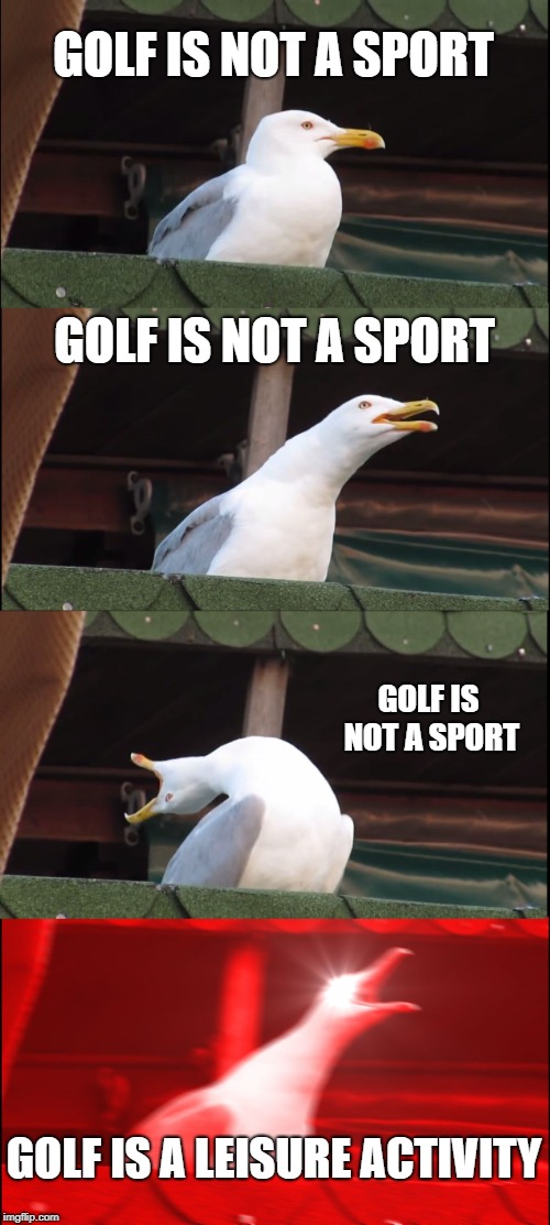 Inhaling Seagull | GOLF IS NOT A SPORT; GOLF IS NOT A SPORT; GOLF IS NOT A SPORT; GOLF IS A LEISURE ACTIVITY | image tagged in memes,inhaling seagull | made w/ Imgflip meme maker