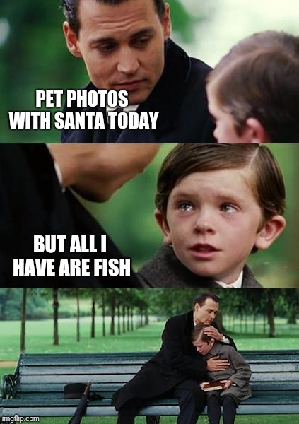 sad johny depp | PET PHOTOS WITH SANTA TODAY; BUT ALL I HAVE ARE FISH | image tagged in sad johny depp | made w/ Imgflip meme maker