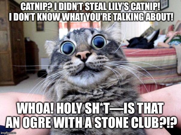 Stealing your sister’s stash again, I see... | CATNIP? I DIDN’T STEAL LILY’S CATNIP! I DON’T KNOW WHAT YOU’RE TALKING ABOUT! WHOA! HOLY SH*T—IS THAT AN OGRE WITH A STONE CLUB?!? | image tagged in lsd cat | made w/ Imgflip meme maker