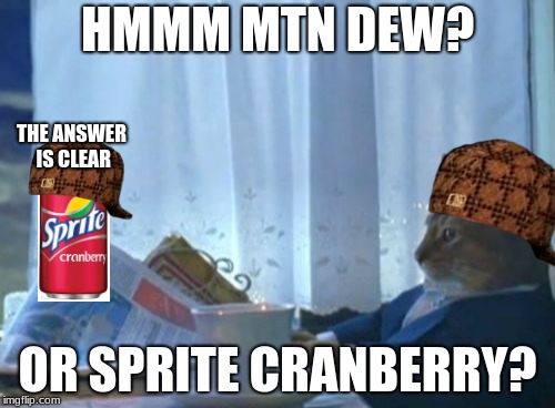 I Should Buy A Boat Cat Meme | HMMM MTN DEW? THE ANSWER IS CLEAR; OR SPRITE CRANBERRY? | image tagged in memes,i should buy a boat cat,scumbag | made w/ Imgflip meme maker