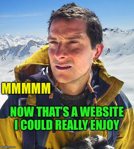 Bear Grylls Meme | MMMMM NOW THAT’S A WEBSITE I COULD REALLY ENJOY | image tagged in memes,bear grylls | made w/ Imgflip meme maker