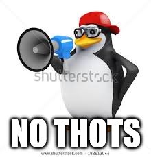 no anime. | NO THOTS | image tagged in no anime | made w/ Imgflip meme maker