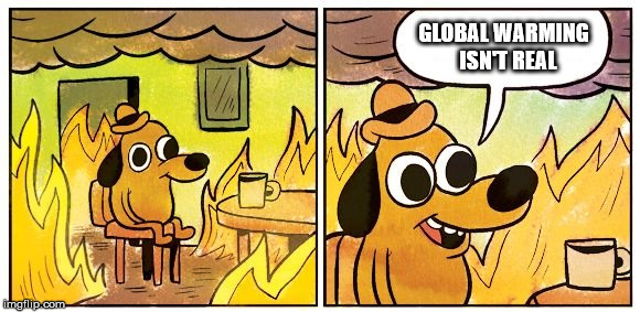 GLOBAL WARMING 
ISN'T REAL | image tagged in politics,global warming,climate change | made w/ Imgflip meme maker