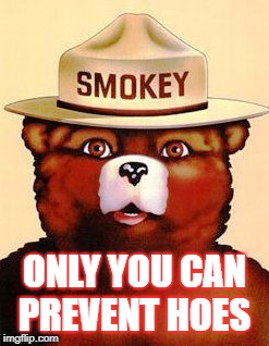 Smokey The Bear | ONLY YOU CAN PREVENT HOES | image tagged in smokey the bear | made w/ Imgflip meme maker