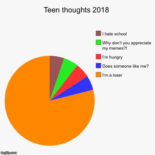 Teen thoughts 2018 | I’m a loser, Does someone like me?, I’m hungry , Why don’t you appreciate my memes?!, I hate school | image tagged in funny,pie charts | made w/ Imgflip chart maker