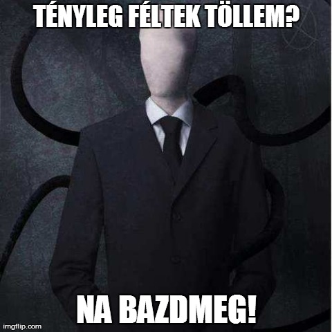 Slenderman Meme | TÃ‰NYLEG FÃ‰LTEK TÃ–LLEM? NA BAZDMEG! | image tagged in memes,slenderman | made w/ Imgflip meme maker