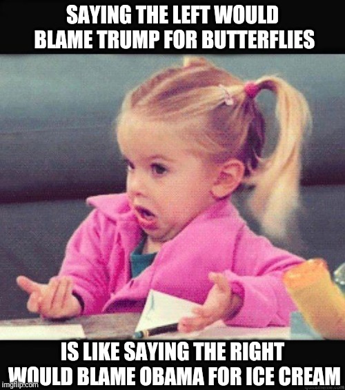 Dafuq Girl | SAYING THE LEFT WOULD BLAME TRUMP FOR BUTTERFLIES IS LIKE SAYING THE RIGHT WOULD BLAME OBAMA FOR ICE CREAM | image tagged in dafuq girl,scumbag | made w/ Imgflip meme maker