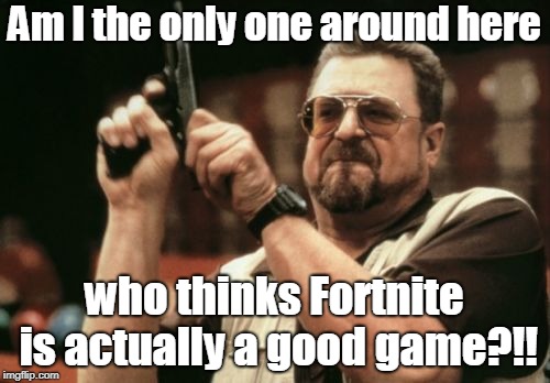 Am I The Only One Around Here | Am I the only one around here; who thinks Fortnite is actually a good game?!! | image tagged in memes,am i the only one around here | made w/ Imgflip meme maker