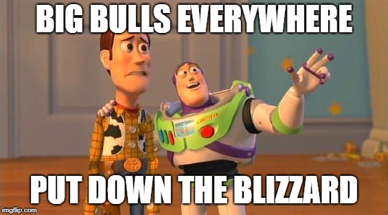 Buzz And Woody | BIG BULLS EVERYWHERE; PUT DOWN THE BLIZZARD | image tagged in buzz and woody | made w/ Imgflip meme maker