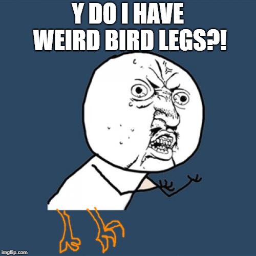 Y U No Meme | Y DO I HAVE WEIRD BIRD LEGS?! | image tagged in memes,y u no | made w/ Imgflip meme maker