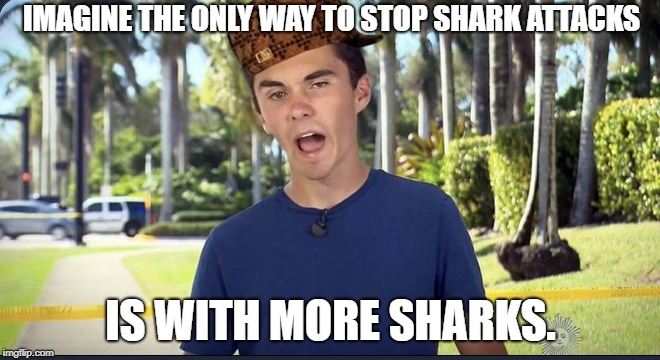 David Hogg | IMAGINE THE ONLY WAY TO STOP SHARK ATTACKS; IS WITH MORE SHARKS. | image tagged in david hogg,scumbag | made w/ Imgflip meme maker