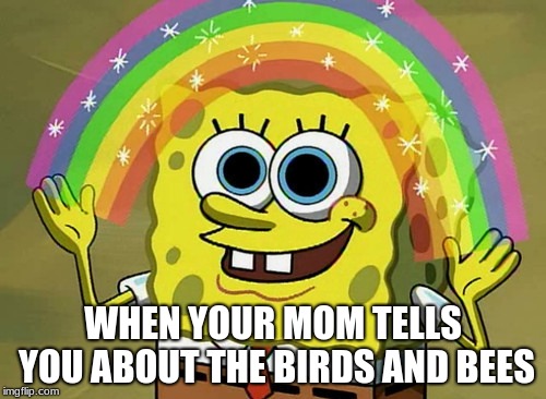 Imagination Spongebob Meme | WHEN YOUR MOM TELLS YOU ABOUT THE BIRDS AND BEES | image tagged in memes,imagination spongebob | made w/ Imgflip meme maker