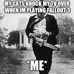 Leatherface  | MY CATS KNOCK MY TV OVER WHEN IM PLAYING FALLOUT 3; *ME* | image tagged in leatherface | made w/ Imgflip meme maker