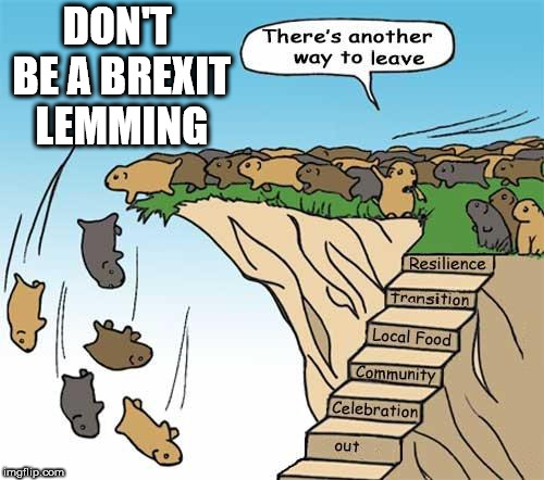 Don't be a Brexit lemming | DON'T BE A BREXIT LEMMING | image tagged in brexit,remain,brexiteer,eu,mrs may,boris ress-mogg | made w/ Imgflip meme maker