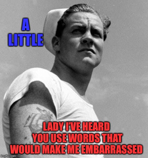 A LITTLE LADY I’VE HEARD YOU USE WORDS THAT WOULD MAKE ME EMBARRASSED | made w/ Imgflip meme maker