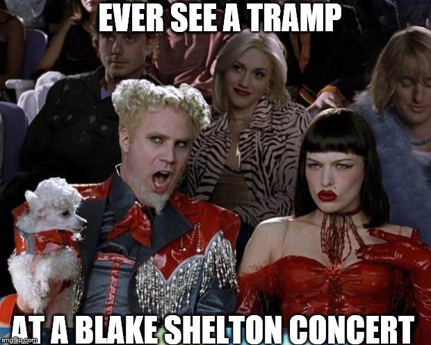 EVER SEE A TRAMP; AT A BLAKE SHELTON
CONCERT | image tagged in funny memes | made w/ Imgflip meme maker