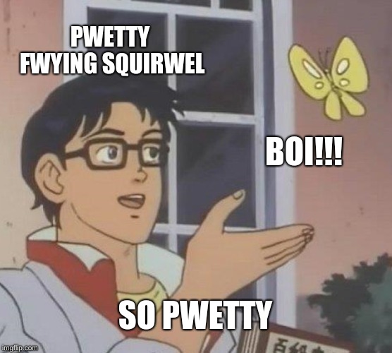 Is This A Pigeon | PWETTY FWYING SQUIRWEL; BOI!!! SO PWETTY | image tagged in memes,is this a pigeon | made w/ Imgflip meme maker