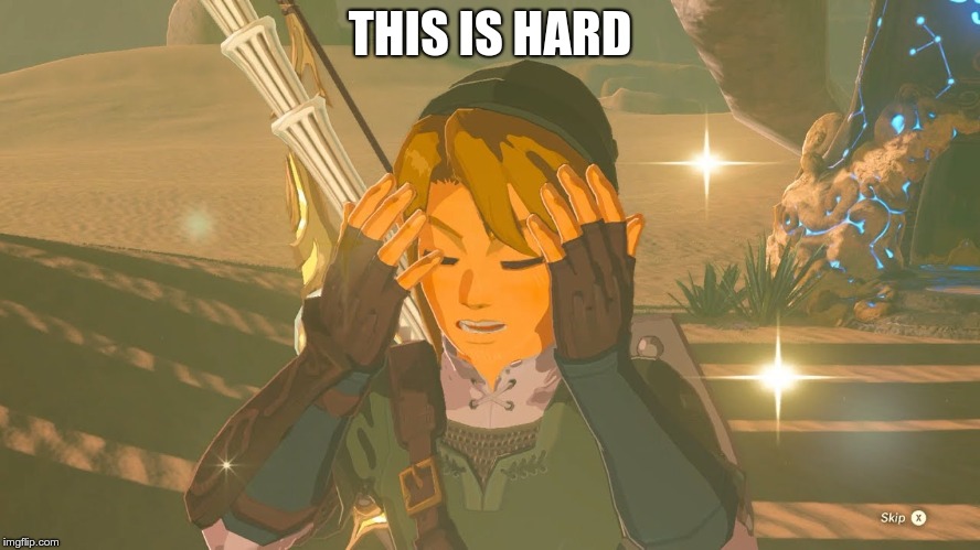 Link WTF | THIS IS HARD | image tagged in link wtf | made w/ Imgflip meme maker