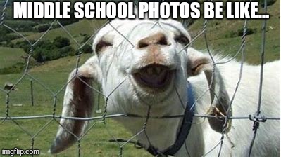 MIDDLE SCHOOL PHOTOS BE LIKE... | image tagged in goat,funny animals | made w/ Imgflip meme maker