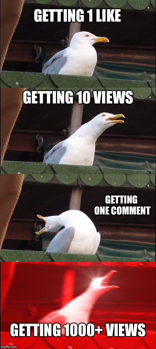 Inhaling Seagull | GETTING 1 LIKE; GETTING 10 VIEWS; GETTING ONE COMMENT; GETTING 1000+ VIEWS | image tagged in memes,inhaling seagull | made w/ Imgflip meme maker