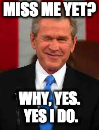 George Bush Meme | MISS ME YET? WHY, YES. YES I DO. | image tagged in memes,george bush | made w/ Imgflip meme maker