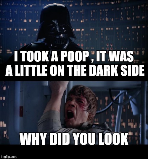 Star Wars No Meme | I TOOK A POOP , IT WAS A LITTLE ON THE DARK SIDE; WHY DID YOU LOOK | image tagged in memes,star wars no | made w/ Imgflip meme maker