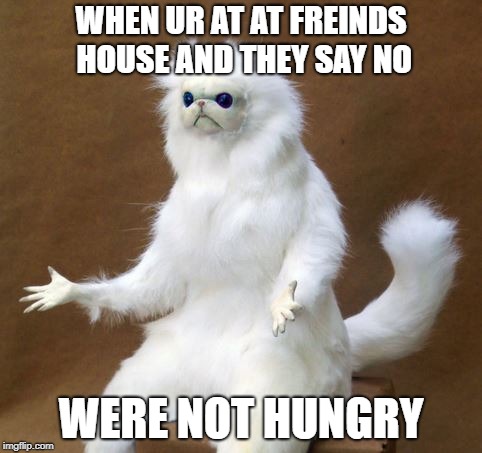 Y tho Persian cat room statue yeti thing | WHEN UR AT AT FREINDS HOUSE AND THEY SAY NO; WERE NOT HUNGRY | image tagged in y tho persian cat room statue yeti thing | made w/ Imgflip meme maker