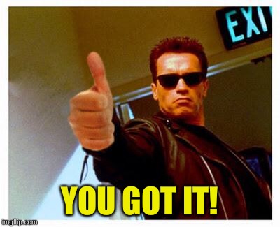 terminator thumbs up | YOU GOT IT! | image tagged in terminator thumbs up | made w/ Imgflip meme maker