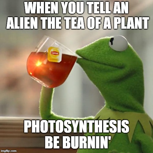 But That's None Of My Business Meme | WHEN YOU TELL AN ALIEN THE TEA OF A PLANT; PHOTOSYNTHESIS BE BURNIN' | image tagged in memes,but thats none of my business,kermit the frog | made w/ Imgflip meme maker