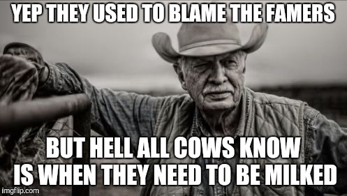 So God Made A Farmer Meme | YEP THEY USED TO BLAME THE FAMERS BUT HELL ALL COWS KNOW IS WHEN THEY NEED TO BE MILKED | image tagged in memes,so god made a farmer | made w/ Imgflip meme maker