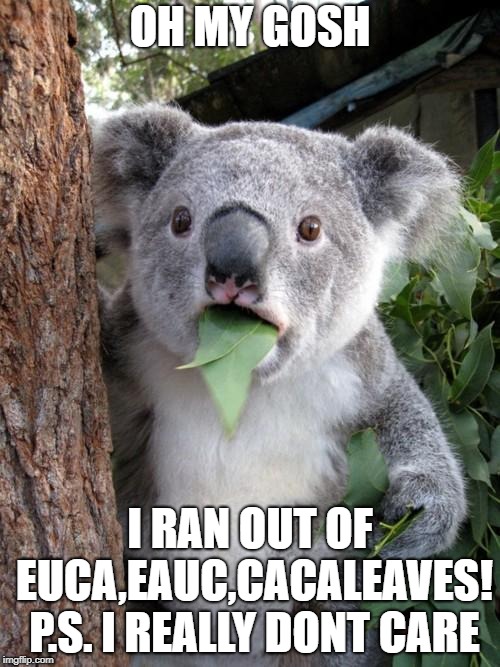 Surprised Koala Meme | OH MY GOSH; I RAN OUT OF EUCA,EAUC,CACALEAVES! P.S. I REALLY DONT CARE | image tagged in memes,surprised koala | made w/ Imgflip meme maker