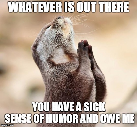 animal praying | WHATEVER IS OUT THERE; YOU HAVE A SICK SENSE OF HUMOR AND OWE ME | image tagged in animal praying | made w/ Imgflip meme maker