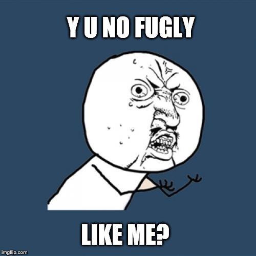 Y U No Meme | Y U NO FUGLY LIKE ME? | image tagged in memes,y u no | made w/ Imgflip meme maker