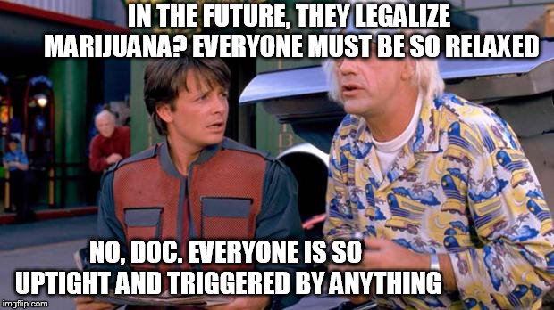 Back to the Future | IN THE FUTURE, THEY LEGALIZE MARIJUANA? EVERYONE MUST BE SO RELAXED; NO, DOC. EVERYONE IS SO UPTIGHT AND TRIGGERED BY ANYTHING | image tagged in back to the future | made w/ Imgflip meme maker