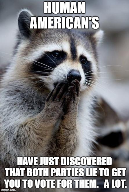 surprised raccoon | HUMAN AMERICAN'S; HAVE JUST DISCOVERED THAT BOTH PARTIES LIE TO GET YOU TO VOTE FOR THEM.   A LOT. | image tagged in surprised raccoon | made w/ Imgflip meme maker
