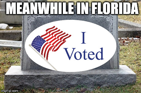 Democrat Voter, obviously | MEANWHILE IN FLORIDA | image tagged in democratic socialism | made w/ Imgflip meme maker