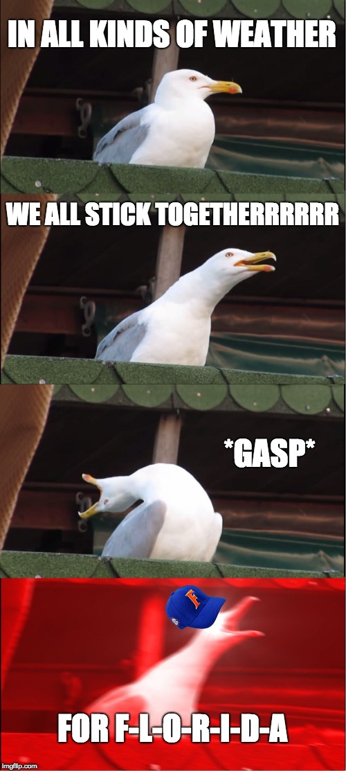 Inhaling Seagull | IN ALL KINDS OF WEATHER; WE ALL STICK TOGETHERRRRRR; *GASP*; FOR F-L-O-R-I-D-A | image tagged in memes,inhaling seagull | made w/ Imgflip meme maker