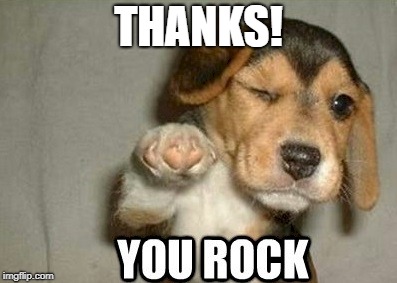 you rock | THANKS! | image tagged in you rock | made w/ Imgflip meme maker