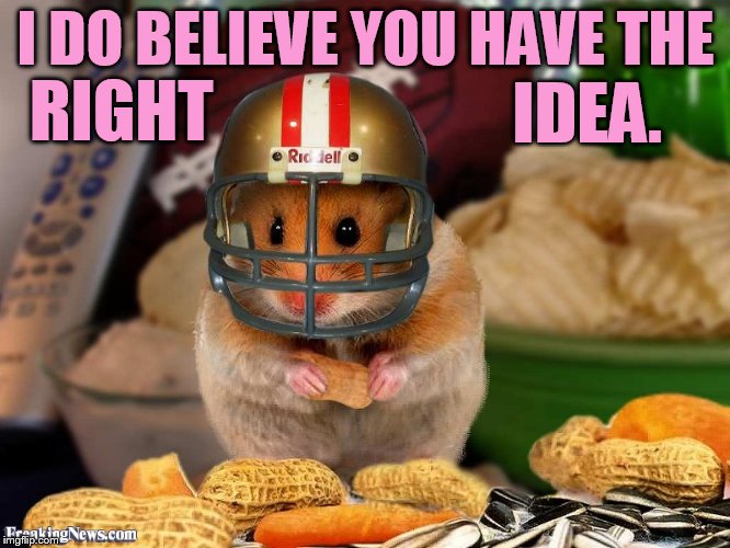 I DO BELIEVE YOU HAVE THE IDEA. RIGHT | made w/ Imgflip meme maker