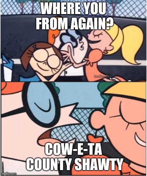 Dexters Lab | WHERE YOU FROM AGAIN? COW-E-TA COUNTY SHAWTY | image tagged in dexters lab | made w/ Imgflip meme maker