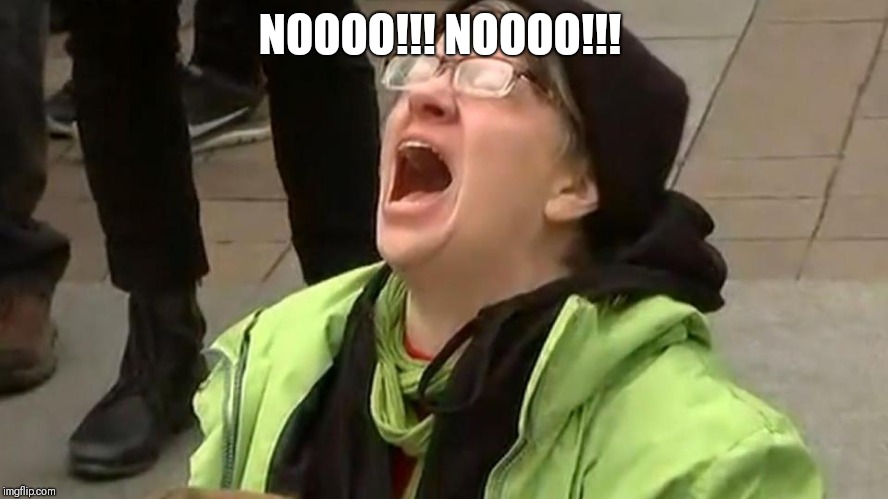 Crying Woman | NOOOO!!! NOOOO!!! NOOOO!!! NOOOO!!! | image tagged in crying woman | made w/ Imgflip meme maker