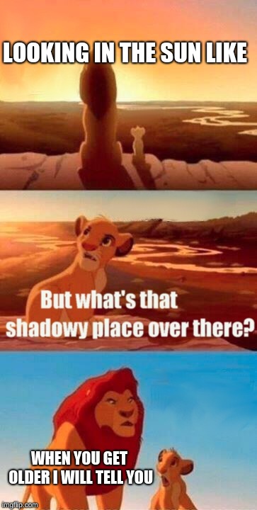 Simba Shadowy Place | LOOKING IN THE SUN LIKE; WHEN YOU GET OLDER I WILL TELL YOU | image tagged in memes,simba shadowy place | made w/ Imgflip meme maker