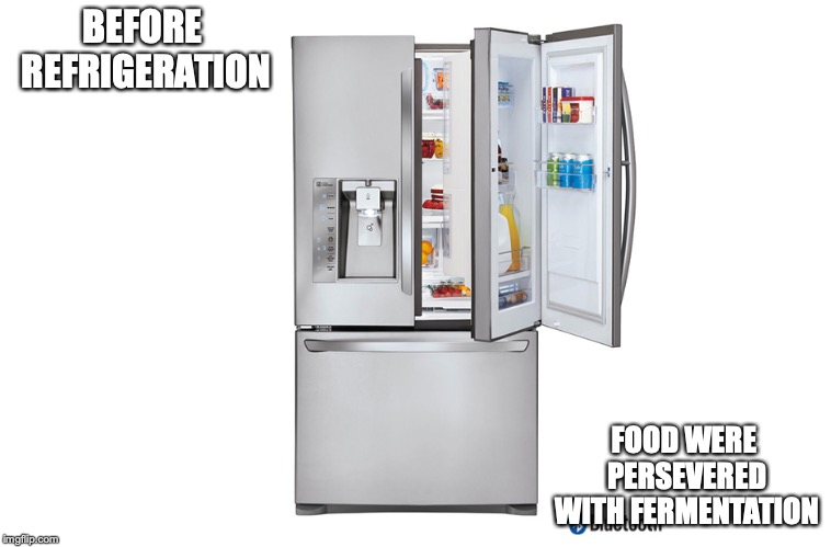 Refrigerator | BEFORE REFRIGERATION; FOOD WERE PERSEVERED WITH FERMENTATION | image tagged in refrigerator,memes | made w/ Imgflip meme maker