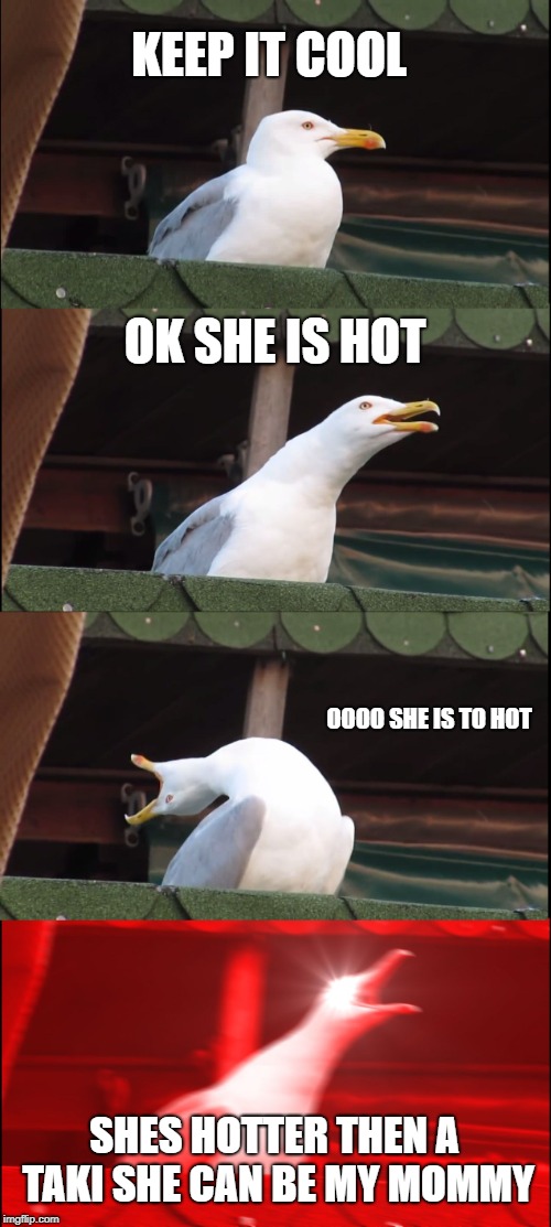 Inhaling Seagull | KEEP IT COOL; OK SHE IS HOT; OOOO SHE IS TO HOT; SHES HOTTER THEN A TAKI SHE CAN BE MY MOMMY | image tagged in memes,inhaling seagull | made w/ Imgflip meme maker