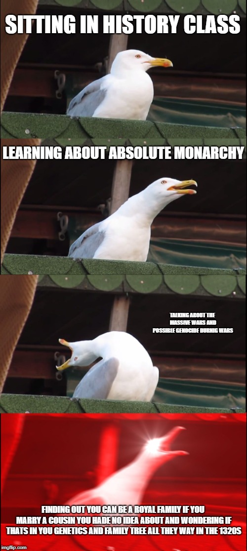 Inhaling Seagull Meme | SITTING IN HISTORY CLASS; LEARNING ABOUT ABSOLUTE MONARCHY; TALKING ABOUT THE MASSIVE WARS AND POSSIBLE GENOCIDE DURNIG WARS; FINDING OUT YOU CAN BE A ROYAL FAMILY IF YOU MARRY A COUSIN YOU HADE NO IDEA ABOUT AND WONDERING IF THATS IN YOU GENETICS AND FAMILY TREE ALL THEY WAY IN THE 1320S | image tagged in memes,inhaling seagull | made w/ Imgflip meme maker