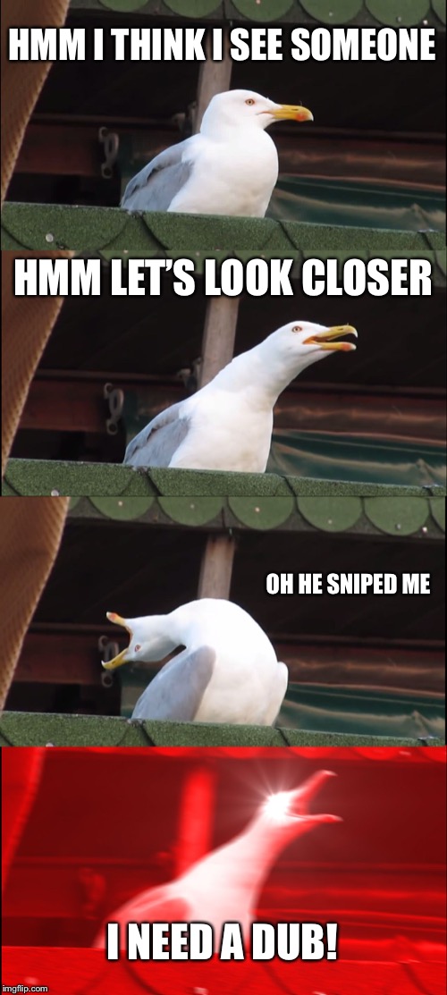 Inhaling Seagull | HMM I THINK I SEE SOMEONE; HMM LET’S LOOK CLOSER; OH HE SNIPED ME; I NEED A DUB! | image tagged in memes,inhaling seagull | made w/ Imgflip meme maker
