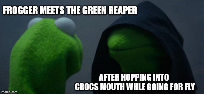 Evil Kermit | FROGGER MEETS THE GREEN REAPER; AFTER HOPPING INTO CROCS MOUTH WHLE GOING FOR FLY | image tagged in memes,evil kermit | made w/ Imgflip meme maker